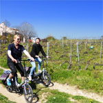 Secret Organic Vineyards of Nice eBike Tour